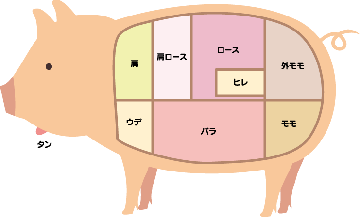 豚肉の部位