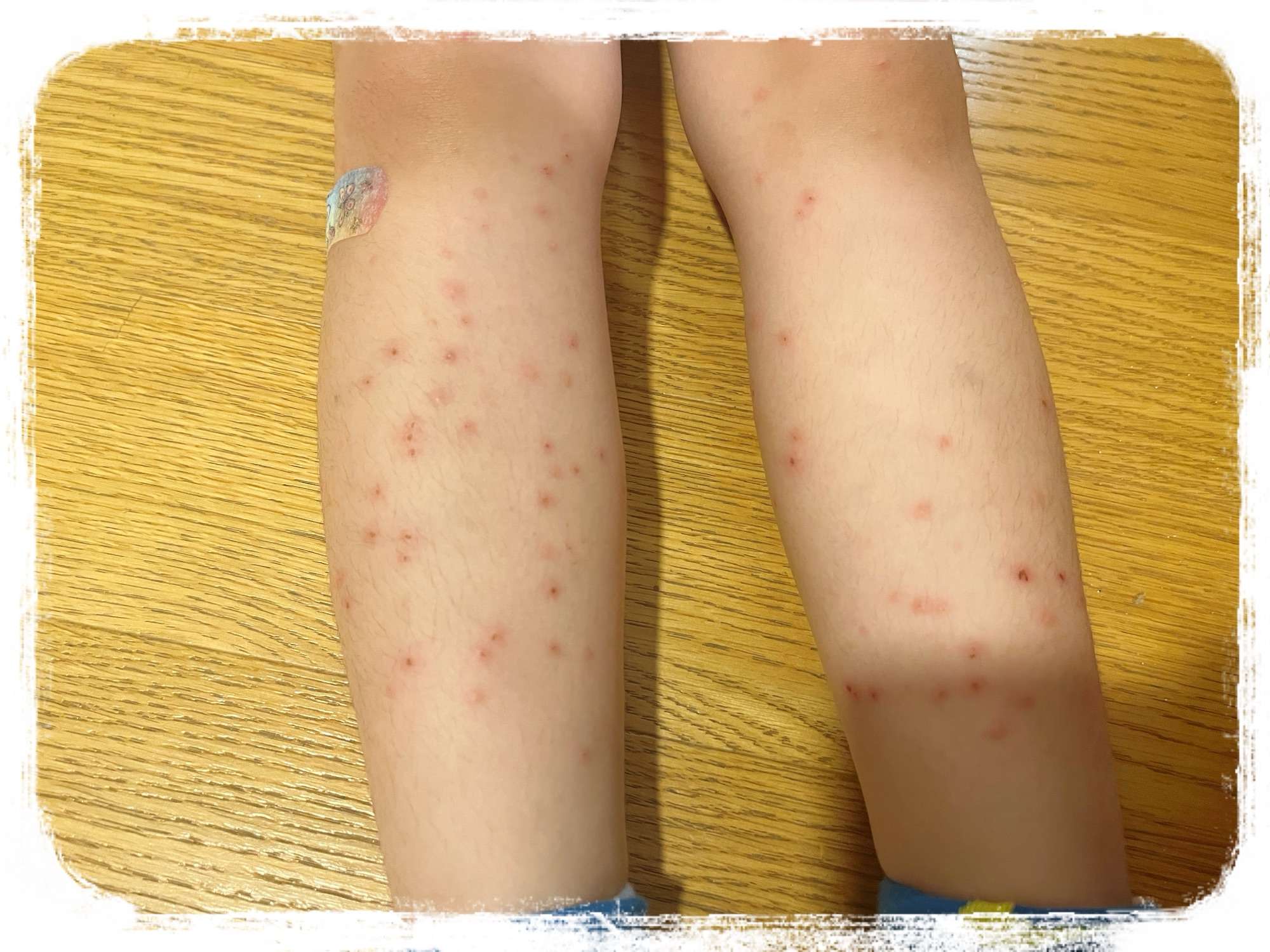 2025年初夏一時帰国