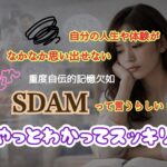 SDAMとは