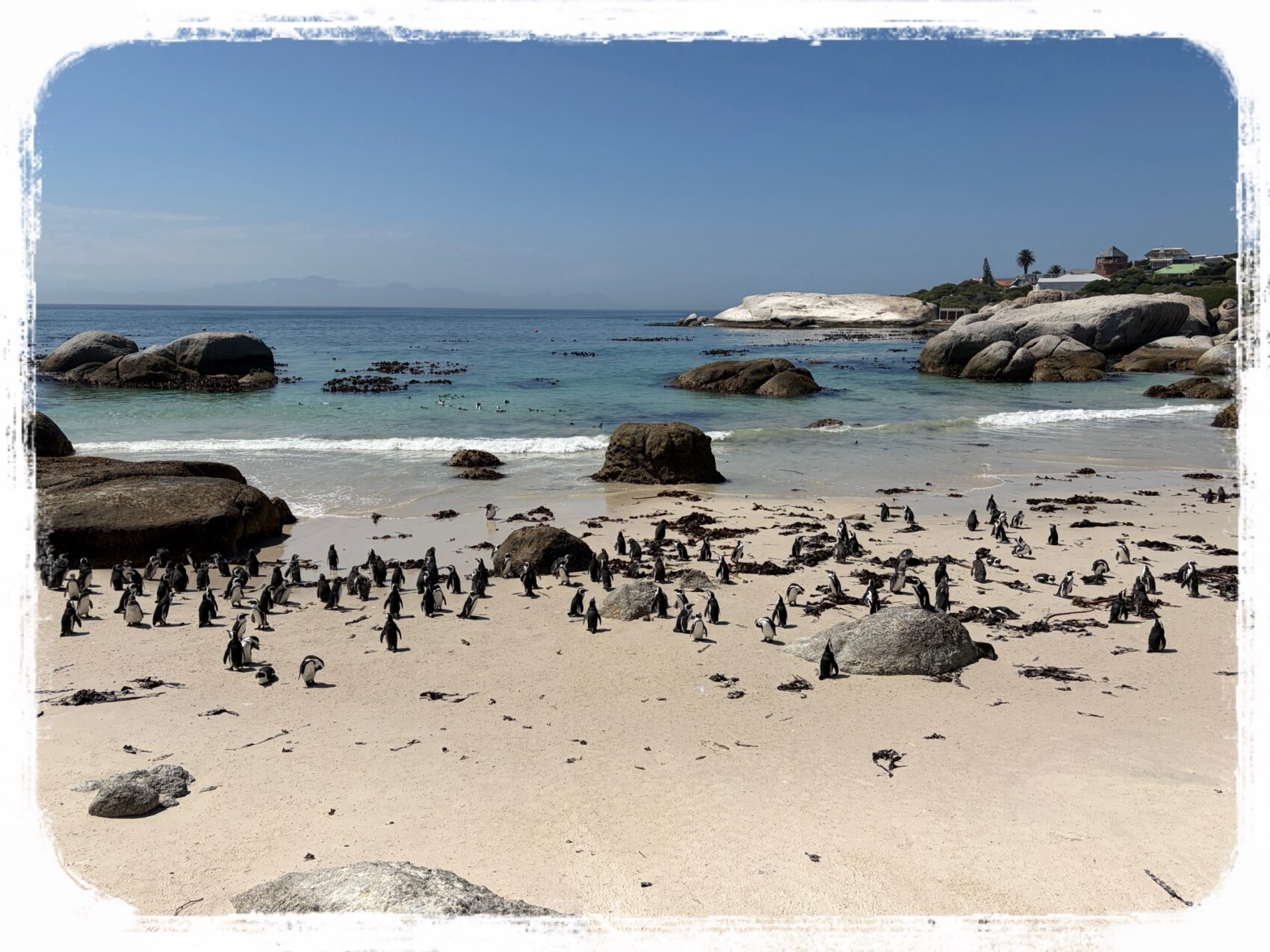 ボルダーズビーチ