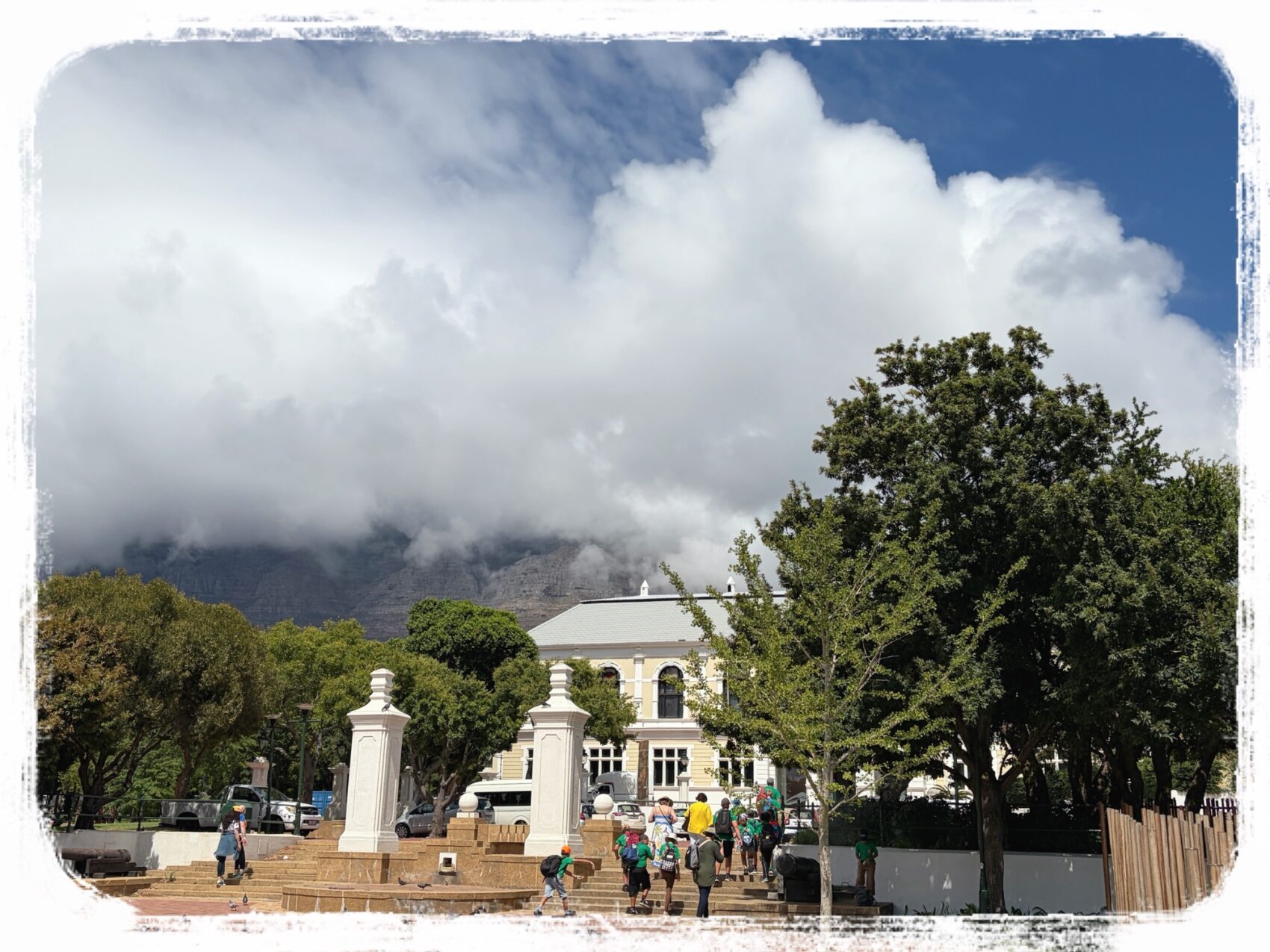 テーブルマウンテン