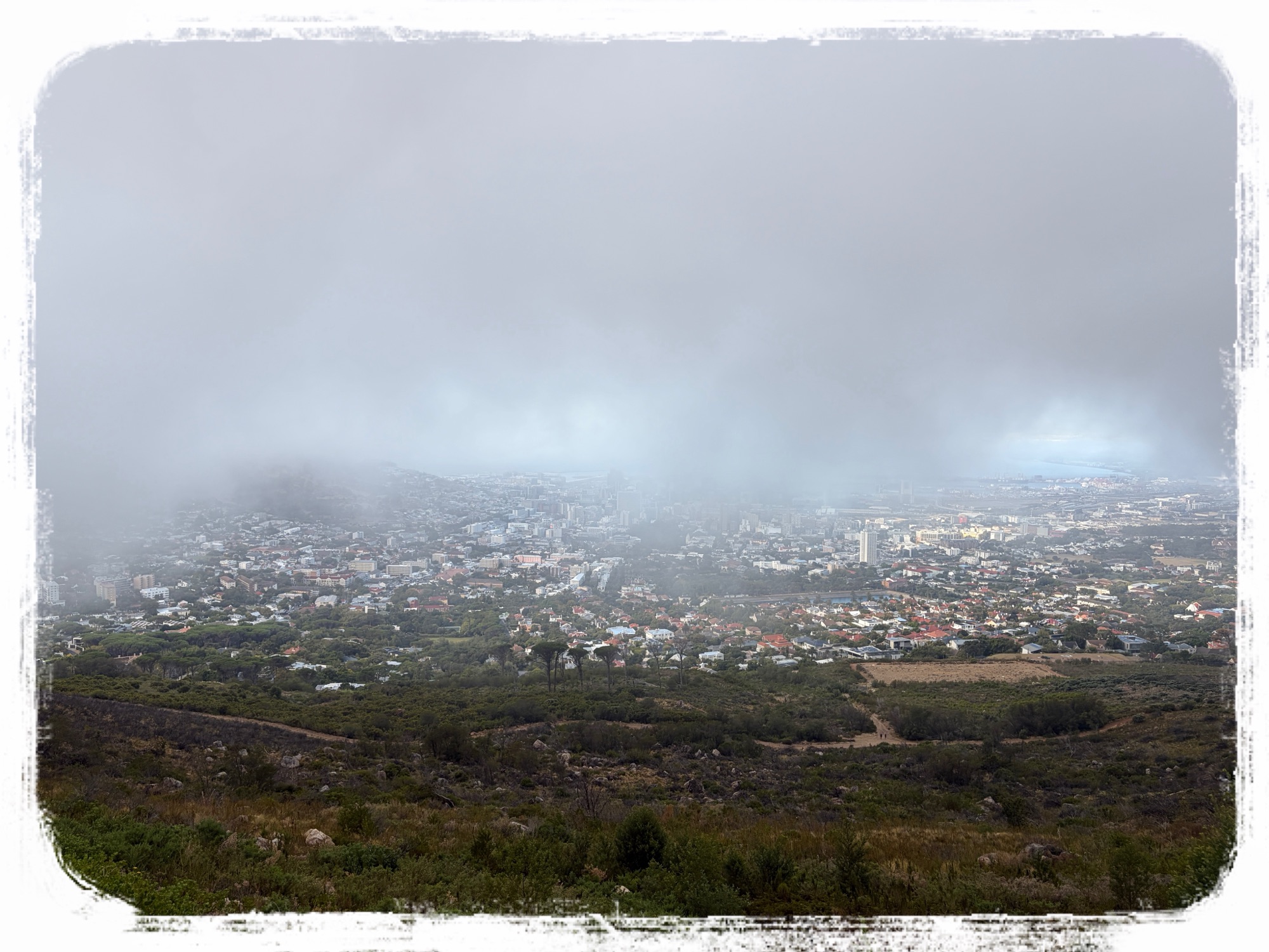 テーブルマウンテン