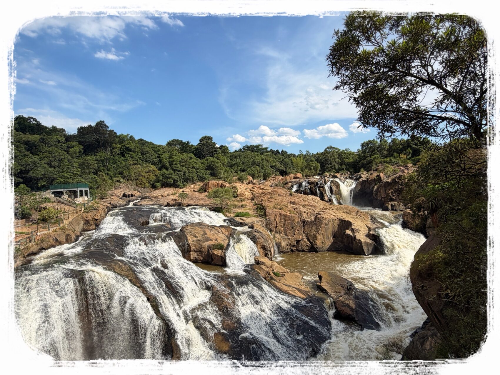 ボタニカルガーデン