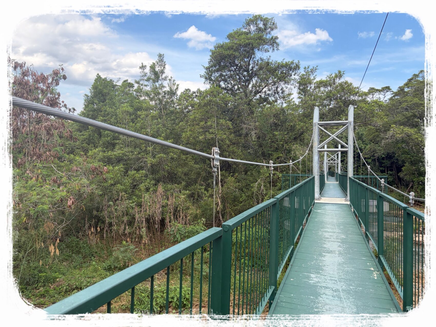 ボタニカルガーデン