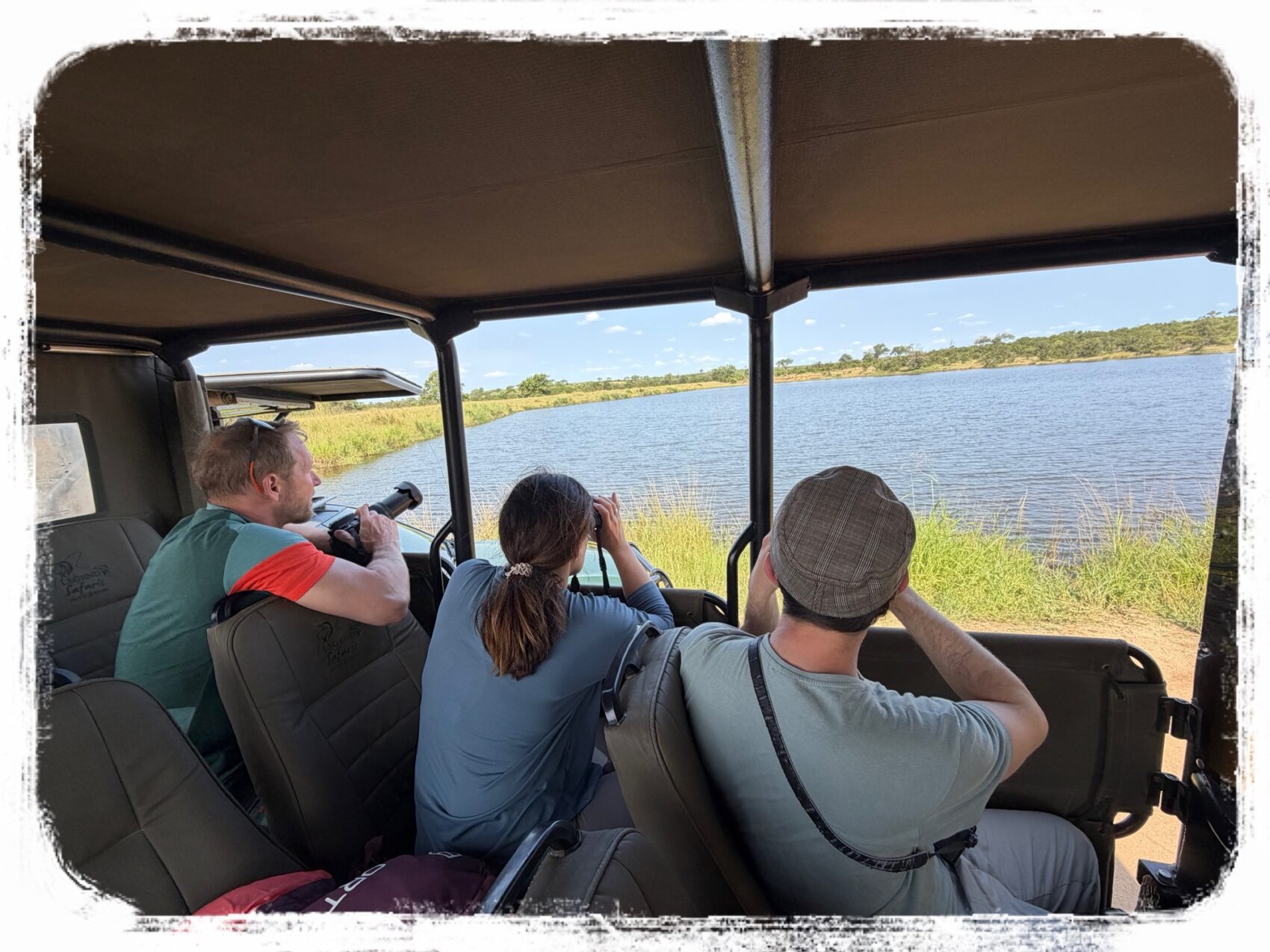 クルーガー動物探し