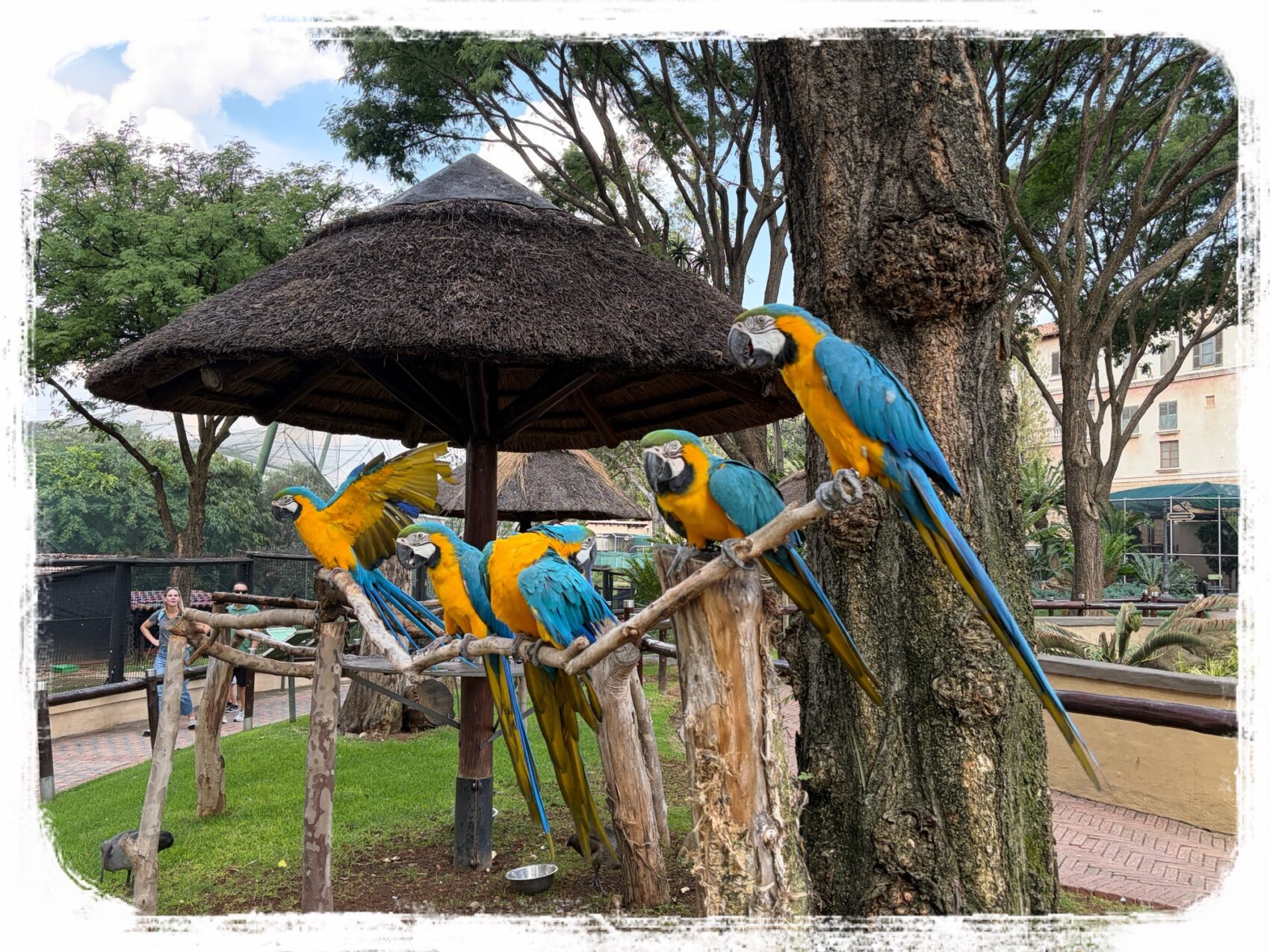 バーズガーデン