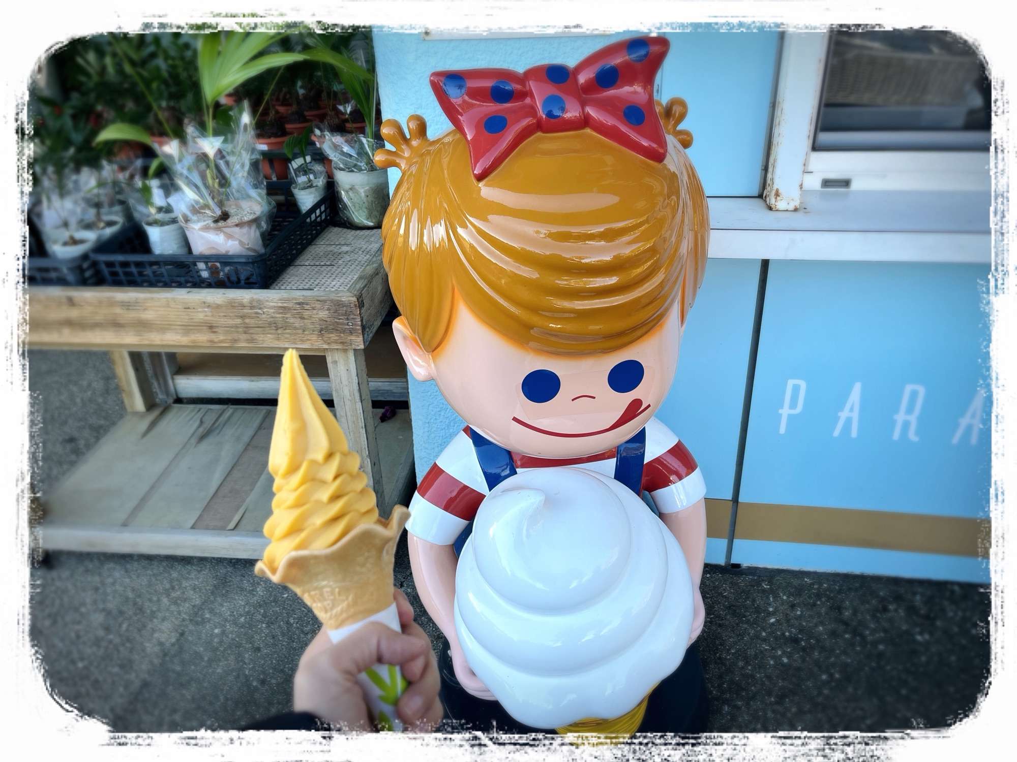 マンゴーソフト