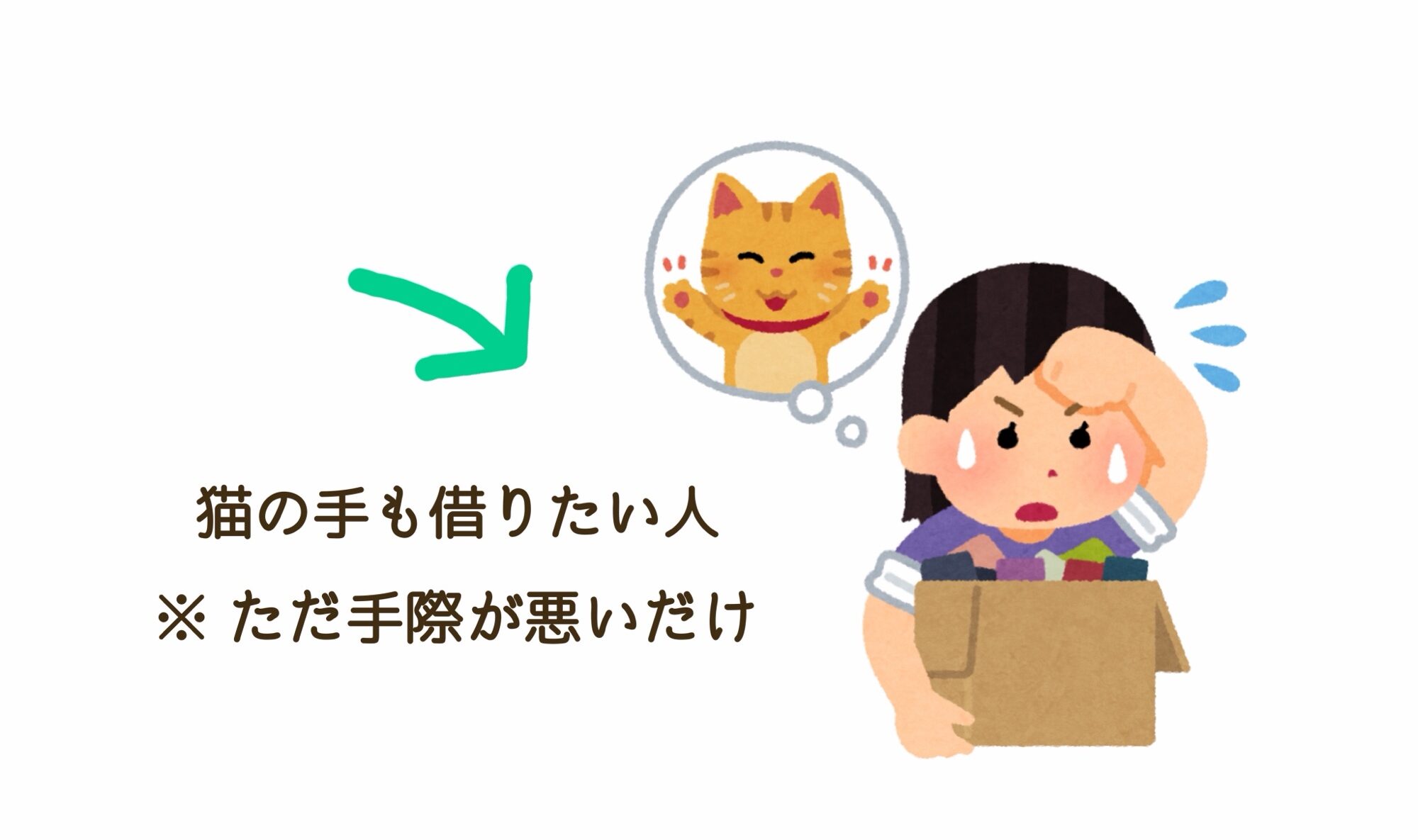 猫の手も借りたい人
