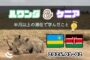 17日間のルワンダ&ケニア滞在